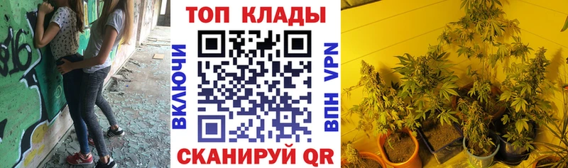 Магазины продажи наркотиков Губкин СК  Бошки Шишки  КОКАИН 