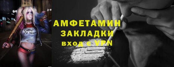 индика Горно-Алтайск