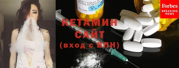 индика Горно-Алтайск