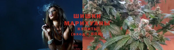 индика Горно-Алтайск