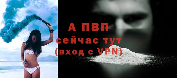 индика Горно-Алтайск