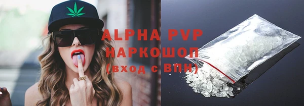 амф Горняк