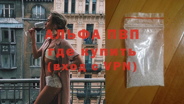 индика Горно-Алтайск