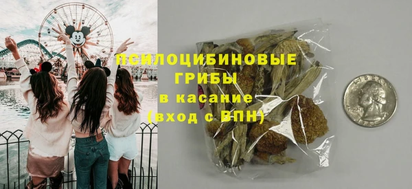амф Струнино