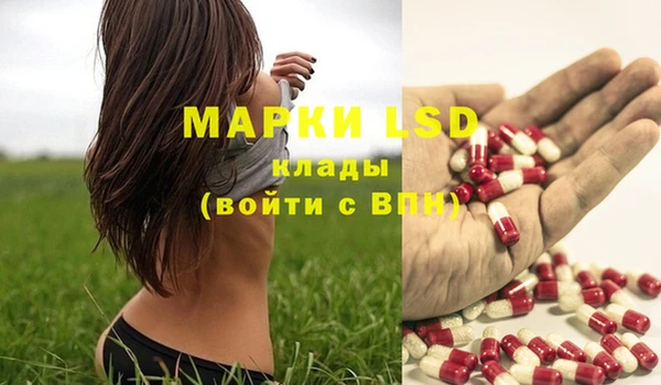 амф Горняк