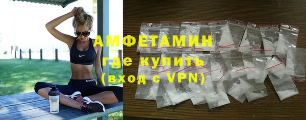 амф Горняк