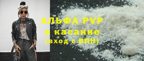 индика Горно-Алтайск
