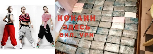амф Горняк