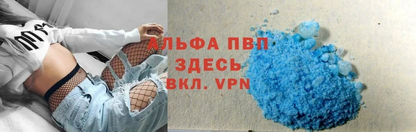 амф Горняк