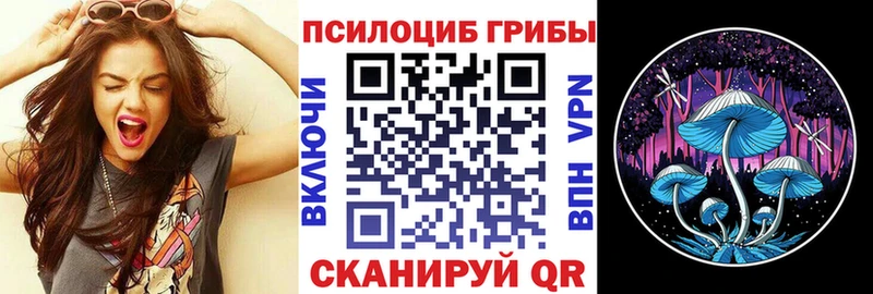 MEGA   Губкин  Галлюциногенные грибы прущие грибы 