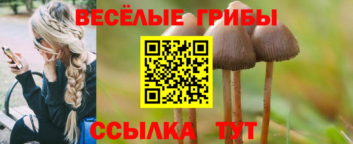 Губкин  как найти закладки  Вход с VPN  Галлюциногенные грибы Cubensis 